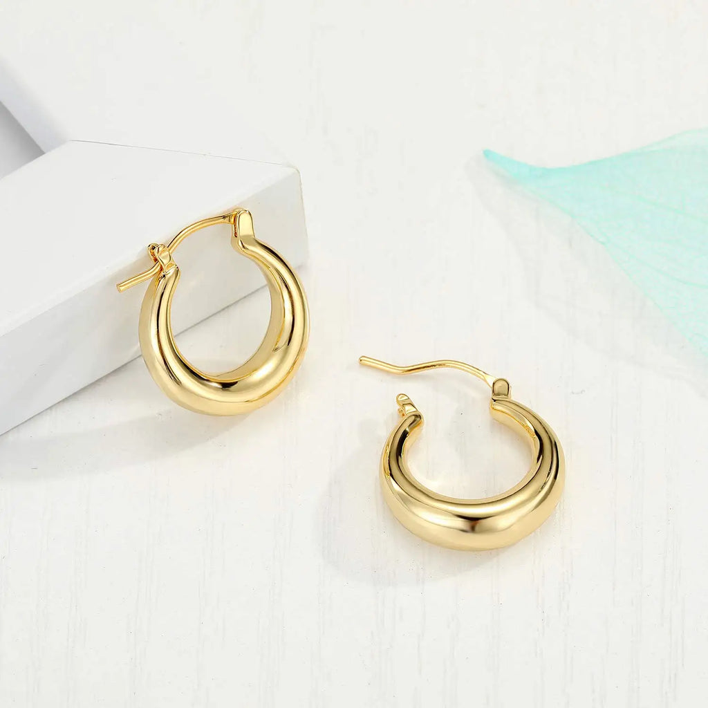 Shevalues Chunky Hoop Earrings 14K Gold 925 Silver Needle Women