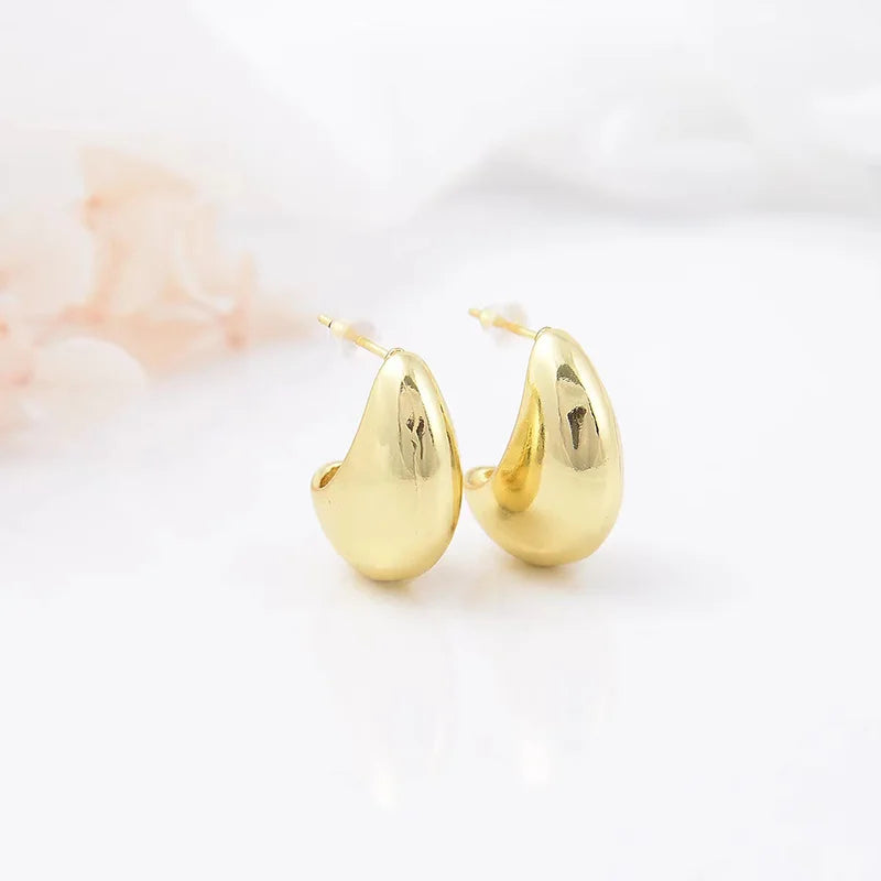 Minimalist Water Drop Bean Earrings 925 Silver Needle Luxury Women